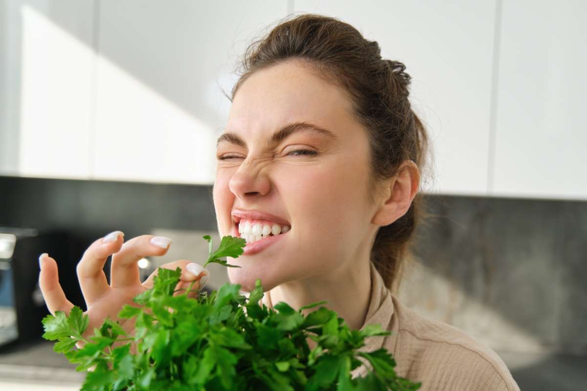 5 Key Differences Between Cilantro vs Parsley